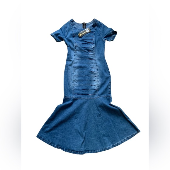 Stylish Blue Denim Dress - Picture 9 of 14